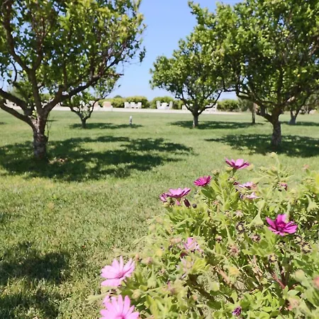 In Bb - Double Pomegranate Carmiano (Apulia)