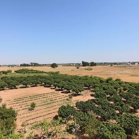 In Bb - Double Pomegranate Carmiano (Apulia)